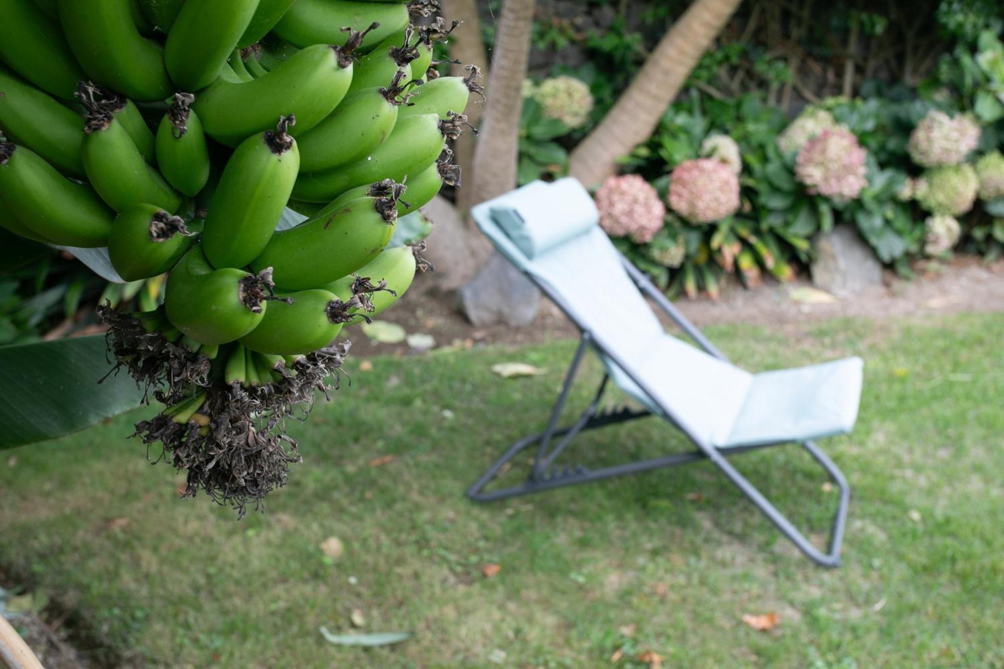 Maria'S Haven Villa Santo Antonio  ภายนอก รูปภาพ